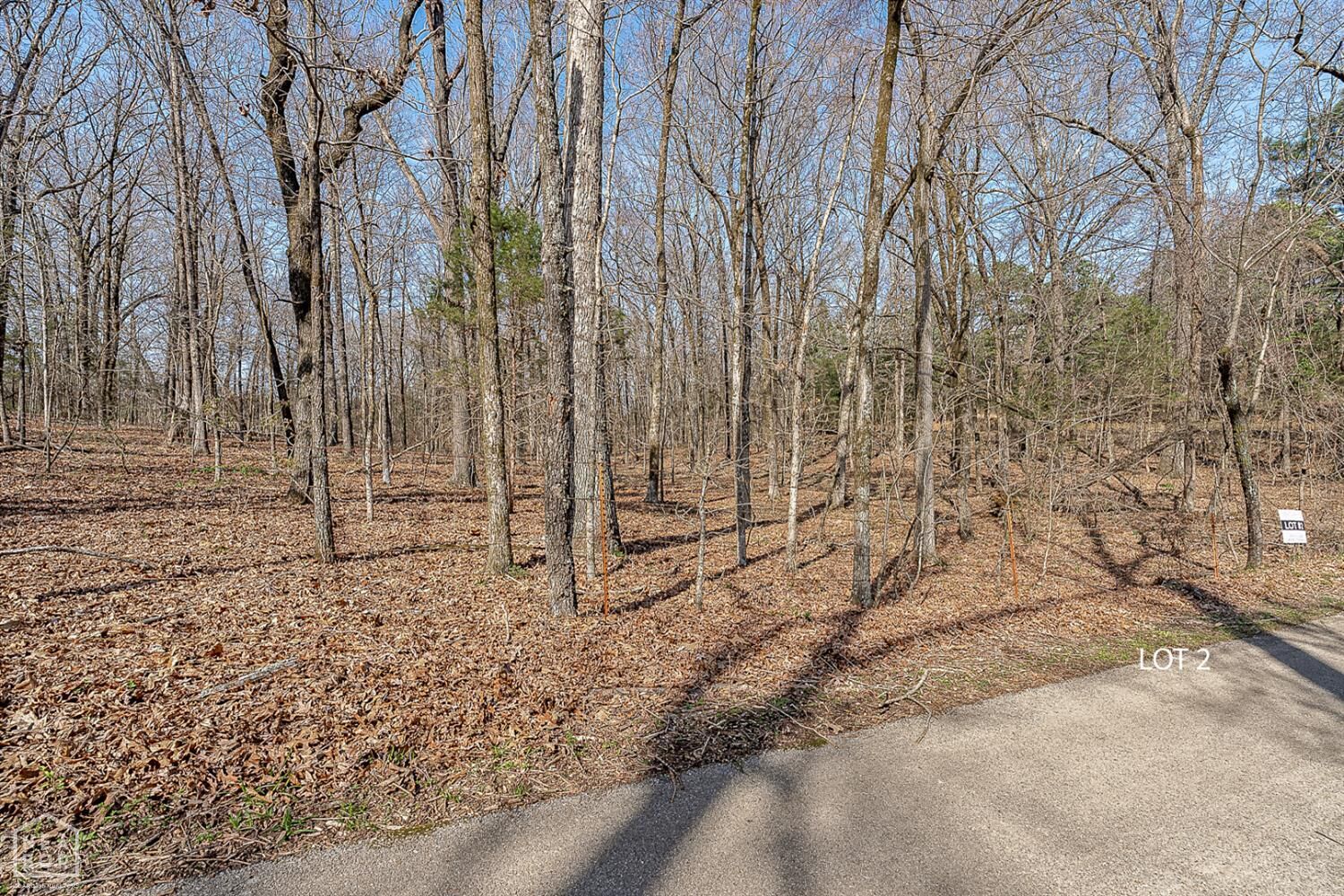 Property Photo:  2 Highway 351  AR 72405 