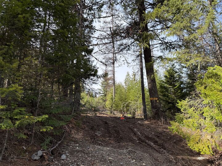 Property Photo:  230 Klakken Road  MT 59853 