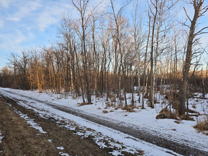 Property Photo:  Tbd Highway 47  MN 56342 