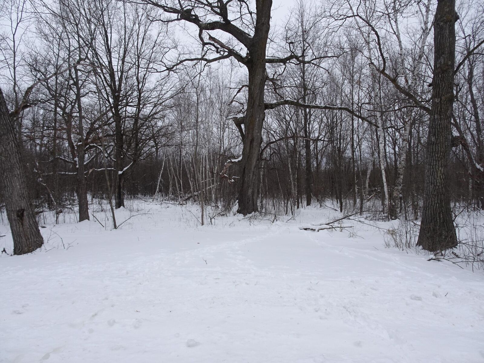 Property Photo: Xxx 150th Street WI 54858