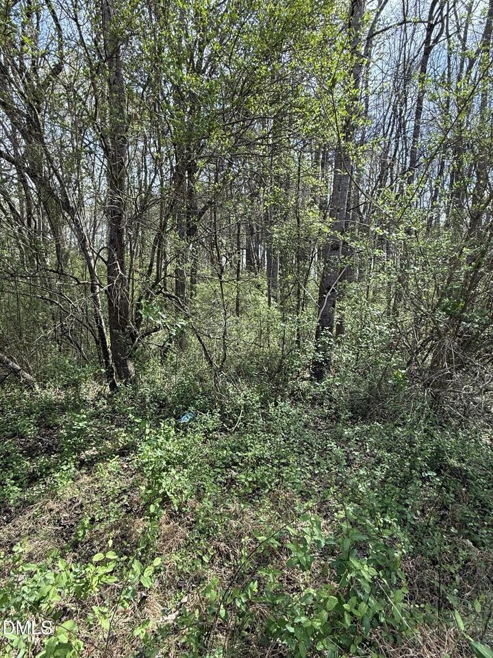 Property Photo:  20 Sutton Road  NC 27549 