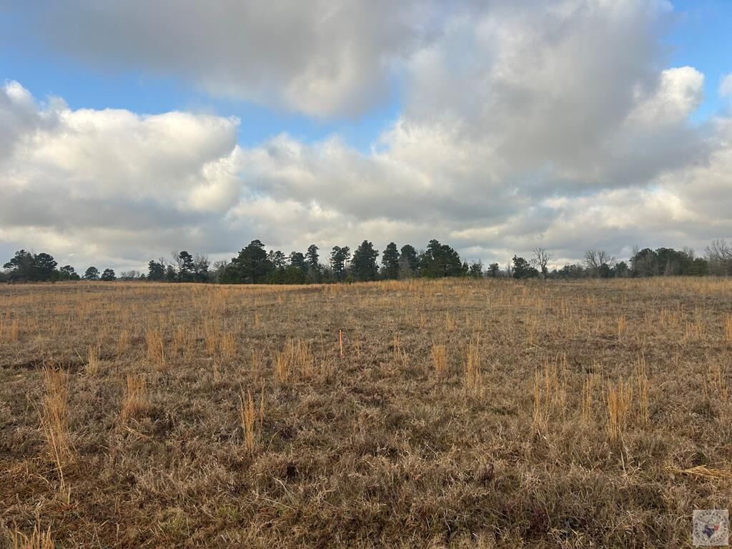 Property Photo:  Tbd Private Road 1108 (Lot 17)  AR 71837 