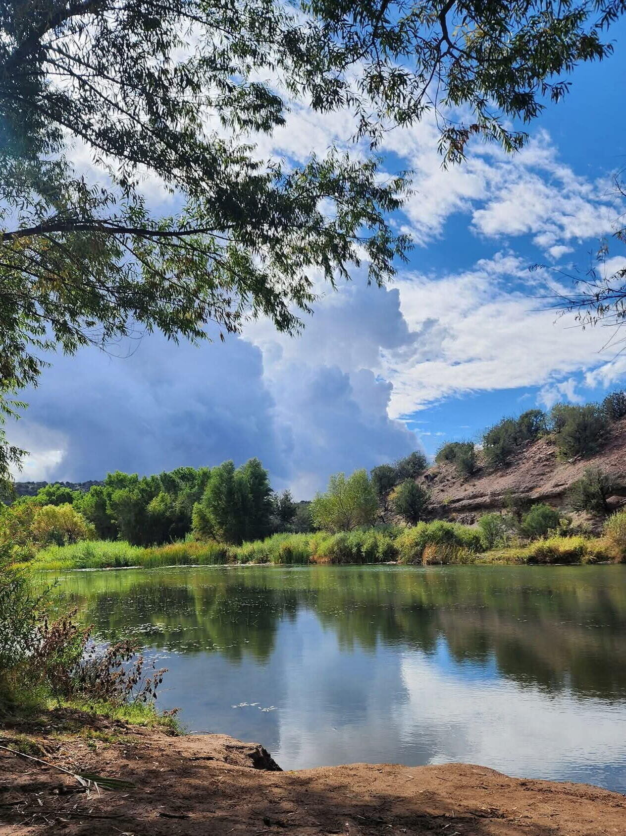 Property Photo:  399 Tatum Trail  AZ 85541 