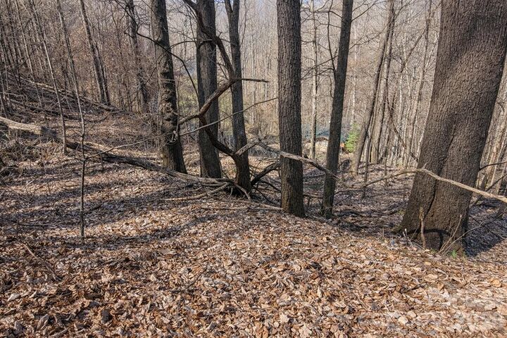 Property Photo:  4 Buckeye Road 63  NC 28751 