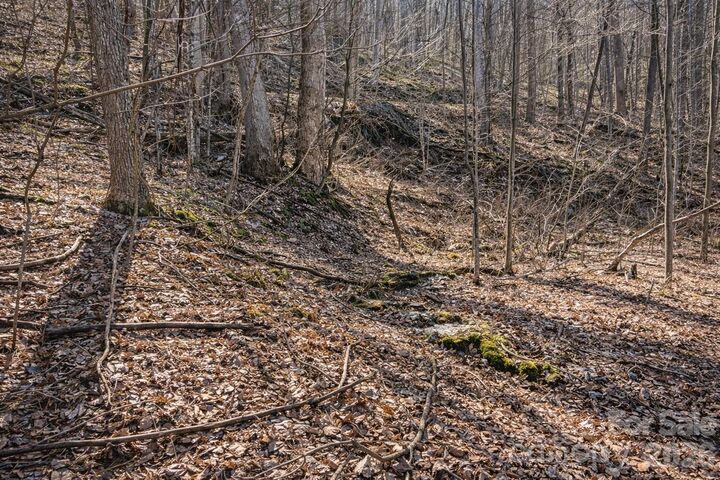 Property Photo: 4 Buckeye Road 63 NC 28751