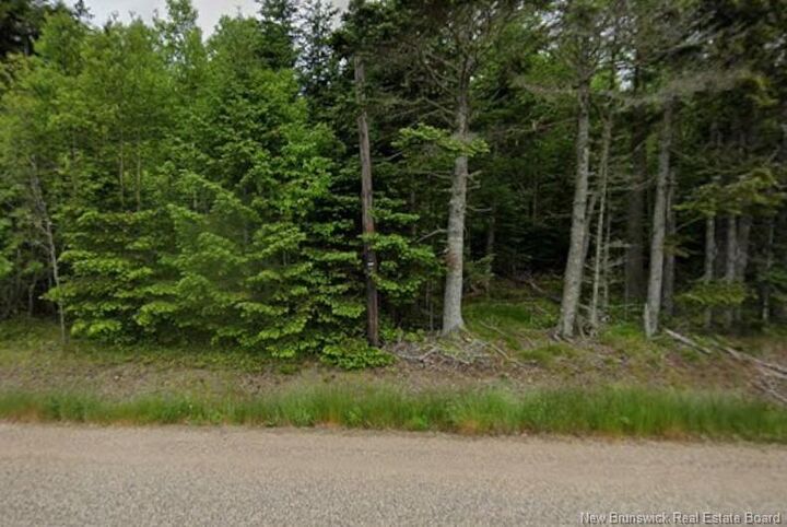 Property Photo:  Lot Main Street  NB E5H 1N6 