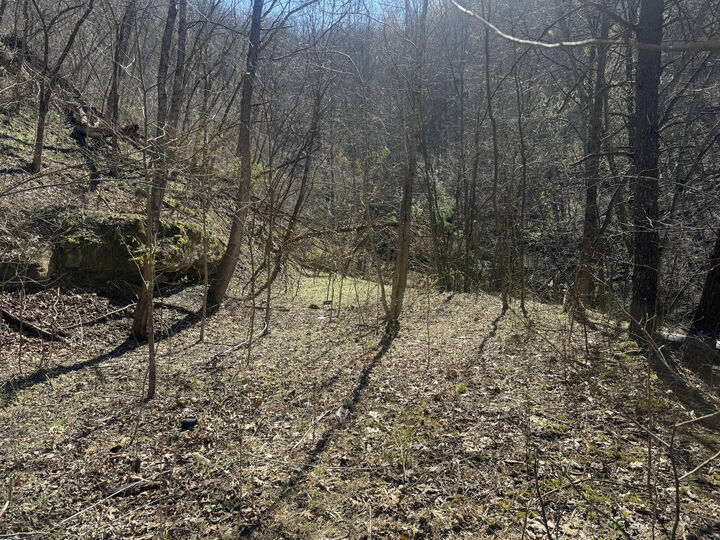 Property Photo:  97 Curt Conway Road  KY 41559 