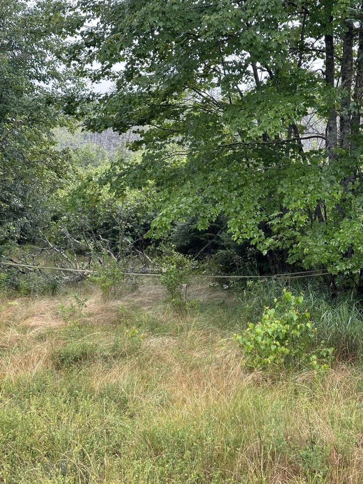 Property Photo:  Lot 60 Tenan Lane  ME 04622 
