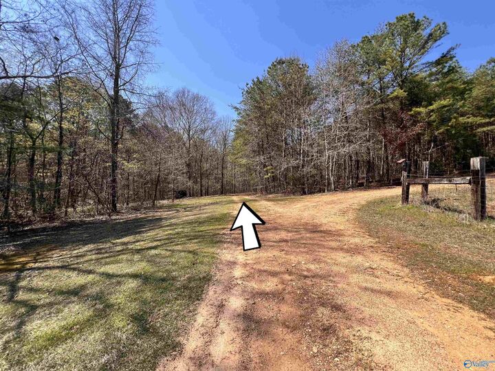 Property Photo:  163 Acres Duck Springs Road  AL 35954 