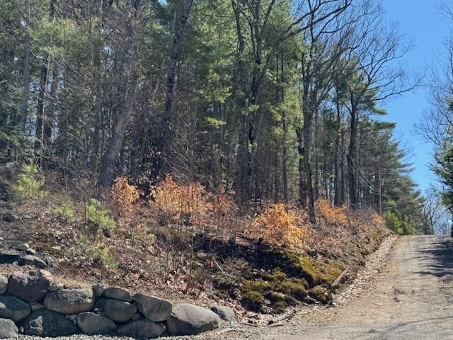 Property Photo:  Lot 185 Nutter Drive  NH 03809 
