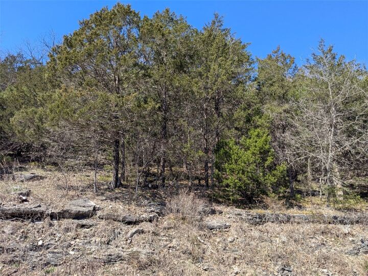 Property Photo:  Tbd Table Rock Drive  AR 72631 