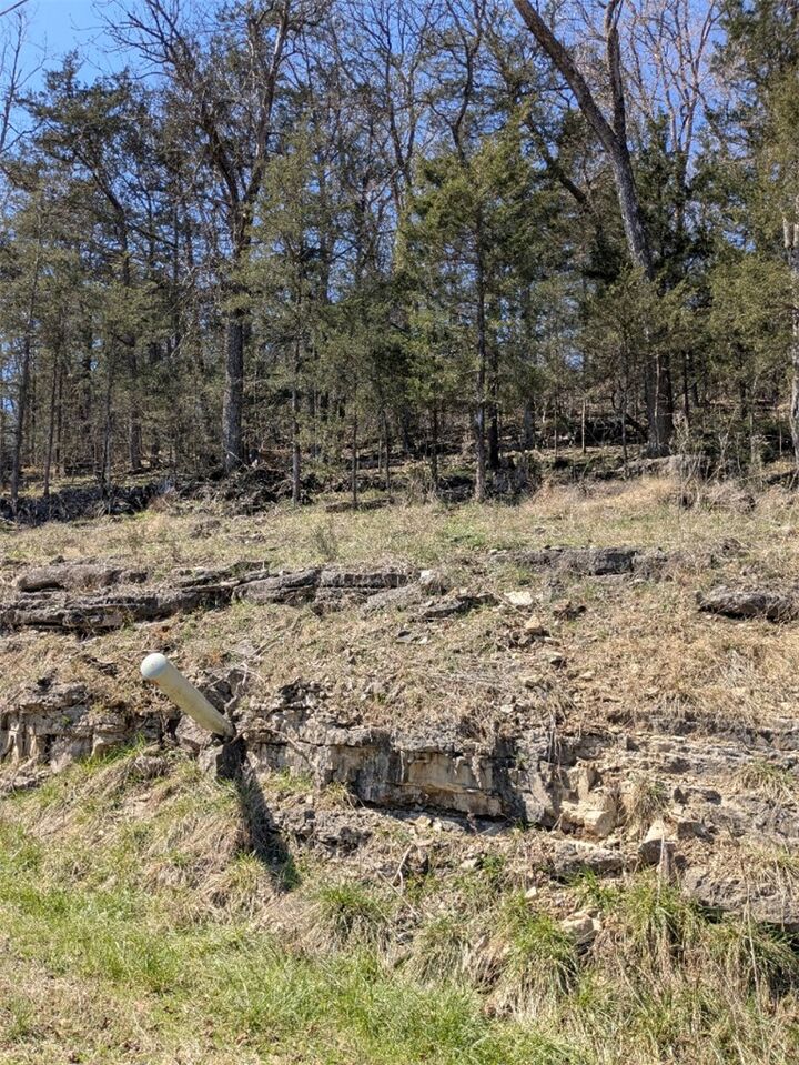 Property Photo: Tbd Oakpoint Lane AR 72631