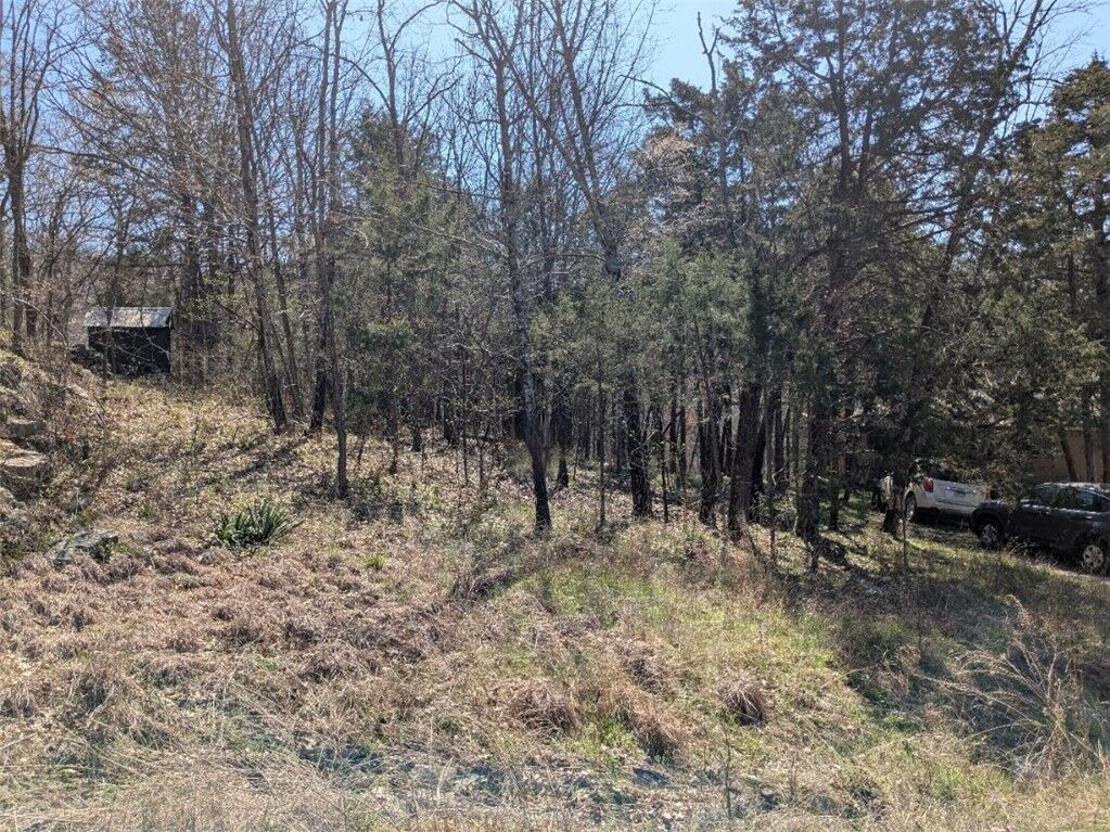 Property Photo: Tbd Leatherwood Drive AR 72631