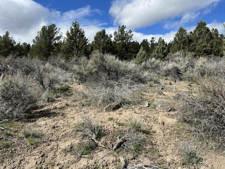 Property Photo:  Shasta St Street Lot 4  OR 97639 