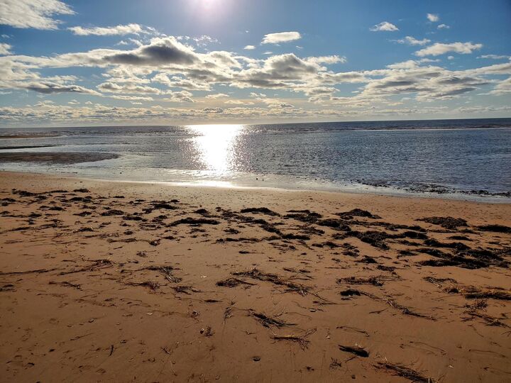 Property Photo:  Maximeville  PE C0B 2E0 