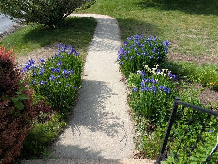 Property Photo: 17 Keryn Ct MA 01588