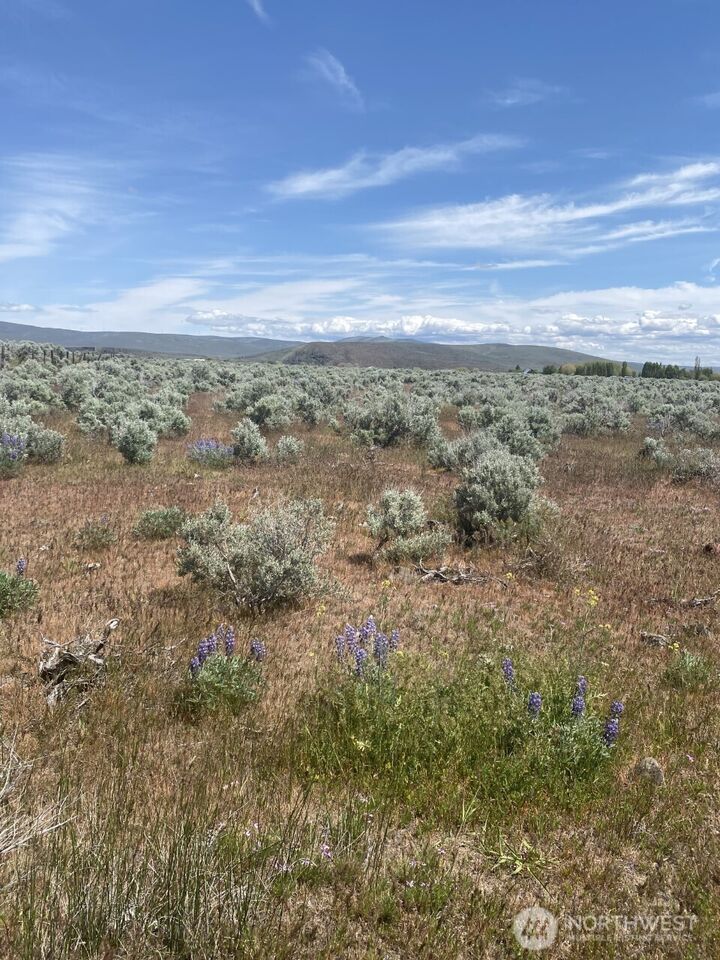 Property Photo: 1160 Lester Road WA 98926