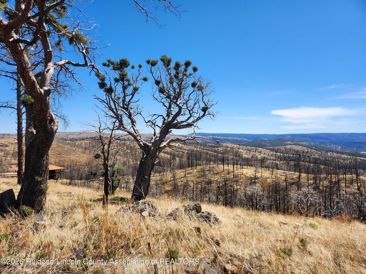 Property Photo:  101 & 103 High Chaparral Place  NM 88345 