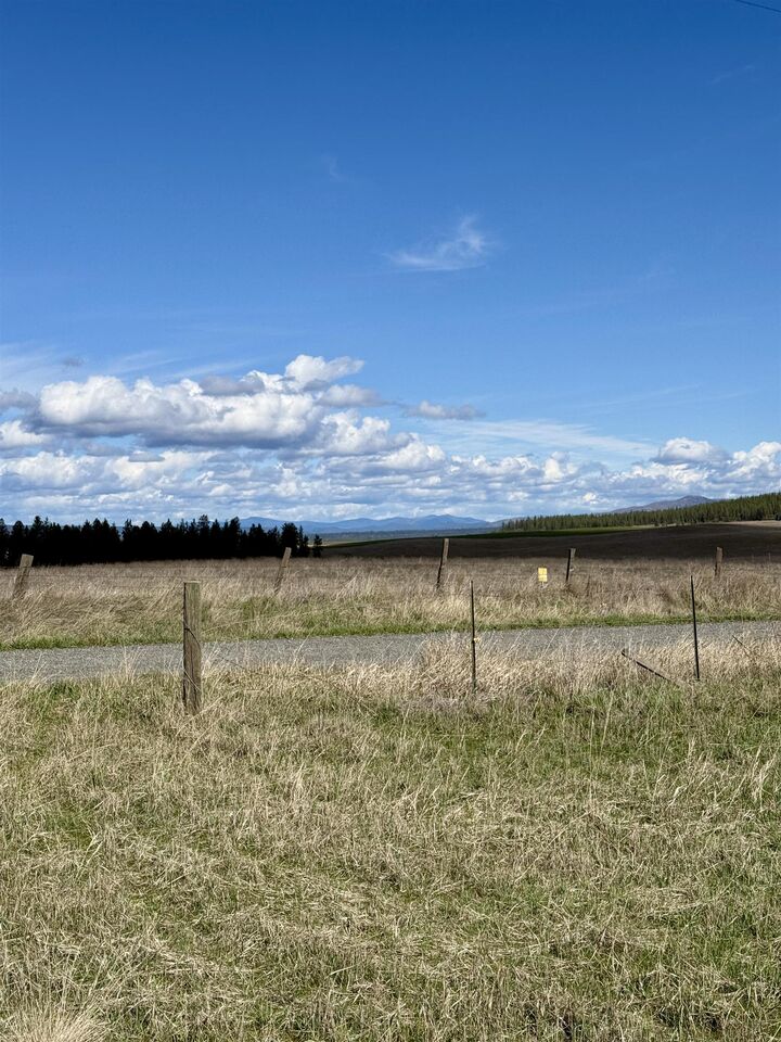 Property Photo:  49546 Fisher E Rd  WA 99122 