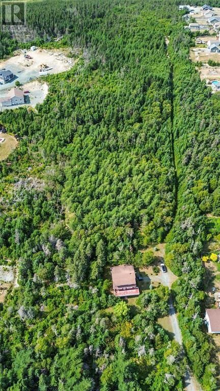 Property Photo:  582-594 Indian Meal Line  NL A1K 1G5 