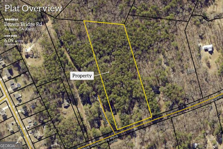 Property Photo:  0 Brown Bridge Road  GA 30011 
