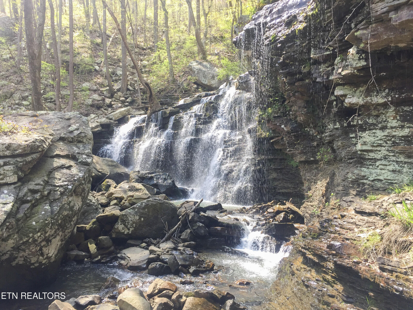 Property Photo:  Rockfort Road - 100 Acres  TN 37367 