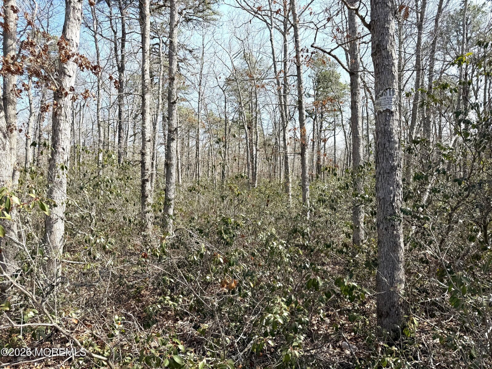 Property Photo:  0 Birchwood Drive  NJ 08087 