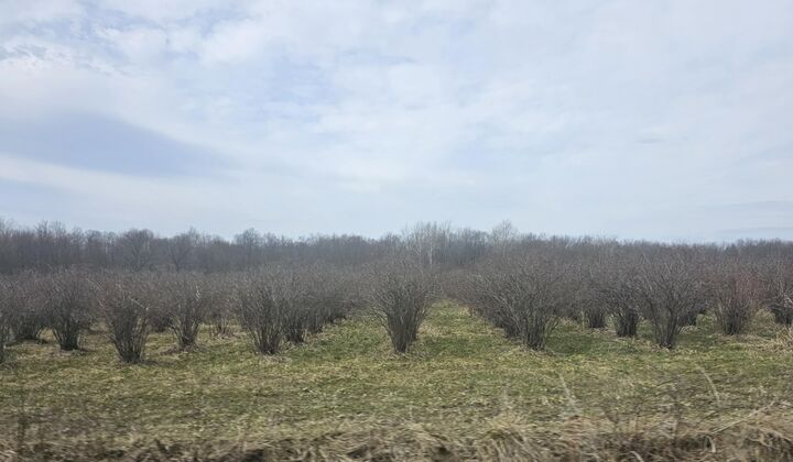 Property Photo:  466 27th Street  MI 49010 