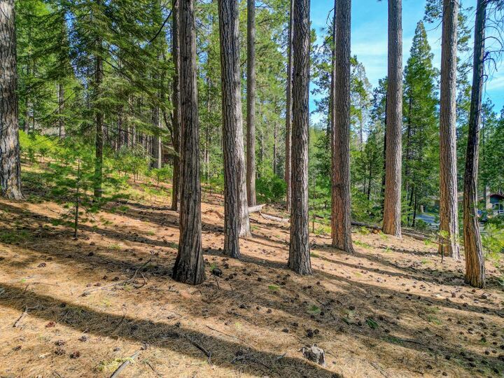 Property Photo:  2625 Linnet Lane  CA 95223 