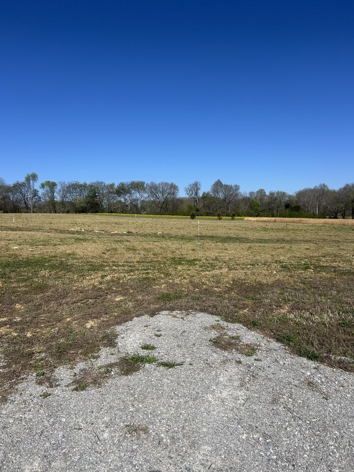 Property Photo:  94 Watson Ct  TN 38468 