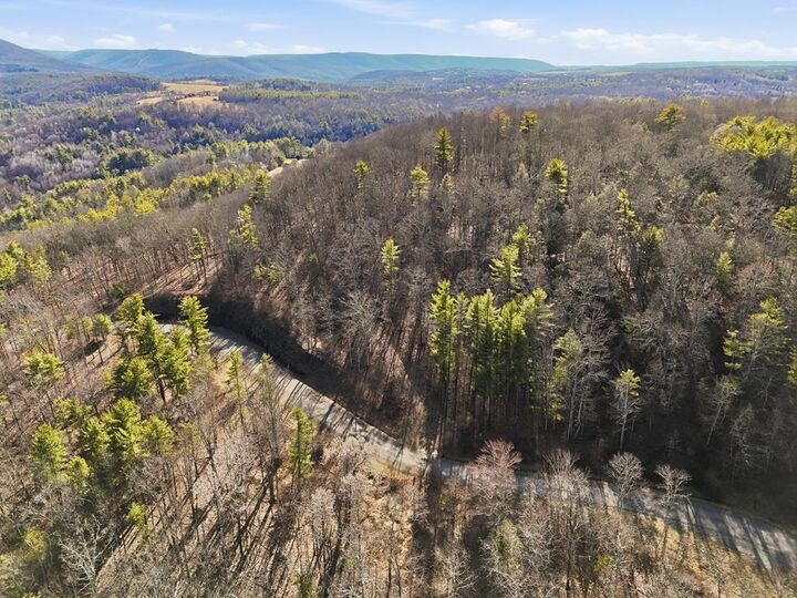 Property Photo:  855 Hemlock Hills Rd (Lot 34)  PA 18848 