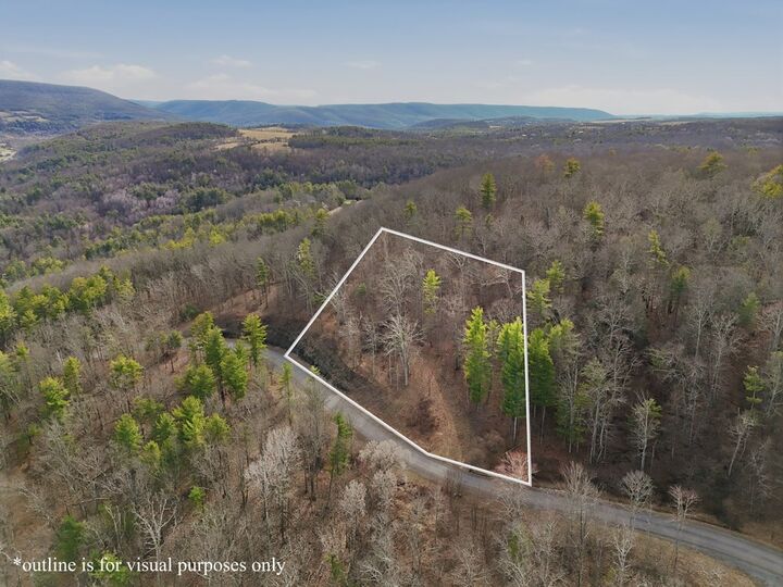 Property Photo: Lot33&Amp34 Hemlock Hills Rd PA 18848