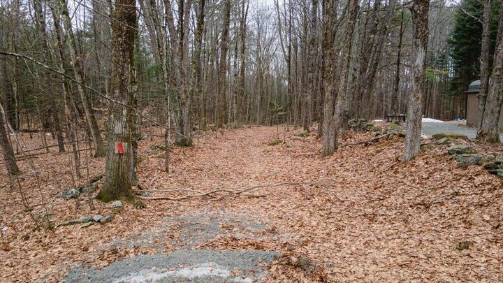 Property Photo: 00 Patton Road NH 03467