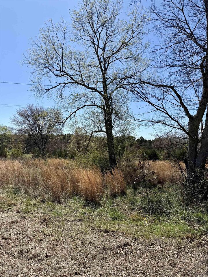 Property Photo:  10383 Highway 352  AR 72830 