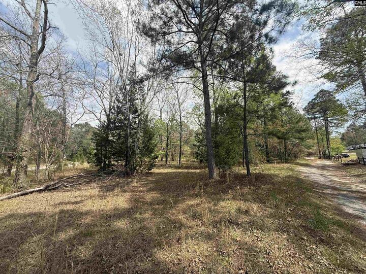 Property Photo: 129 Treemount SC 29053