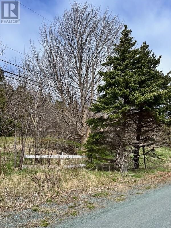 Property Photo:  #81-89 Town Circle Road  NL A0A 3L0 
