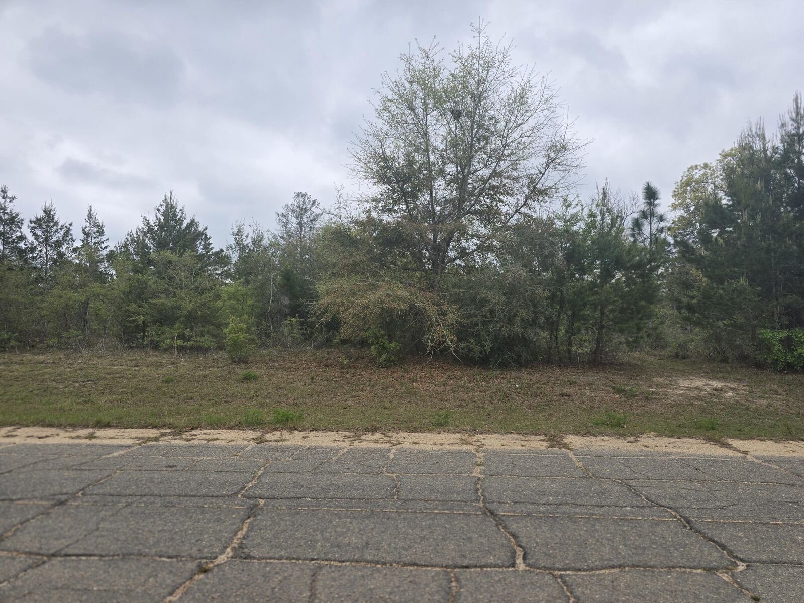 Property Photo:  Tbd2 Otis Lane  FL 32428 