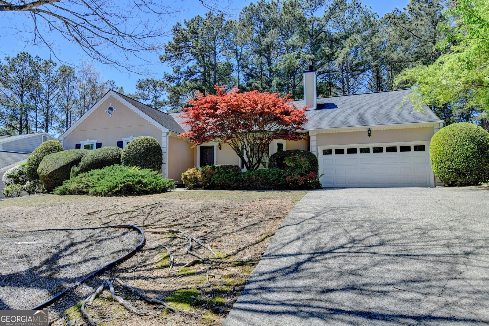Property Photo: 11120 Abbotts Station Drive GA 30097