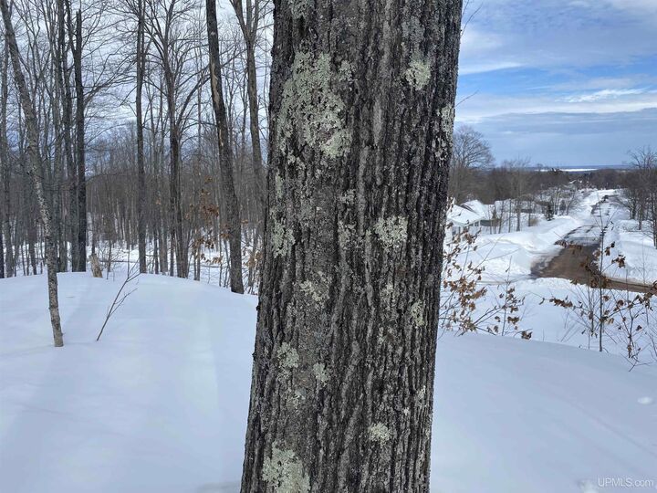 Property Photo: Tbd Lot 23 S Whealkate Drive MI 49963