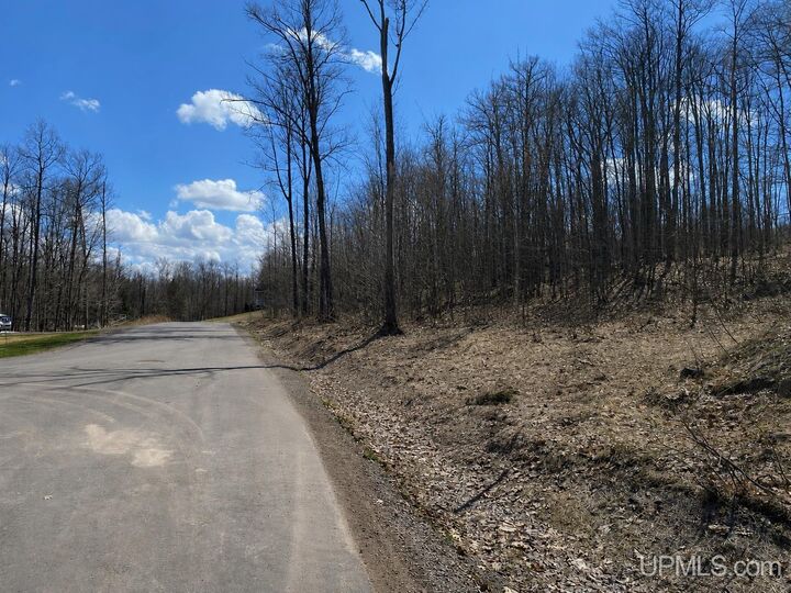 Property Photo:  Tbd Lot 23 S Whealkate Drive  MI 49963 