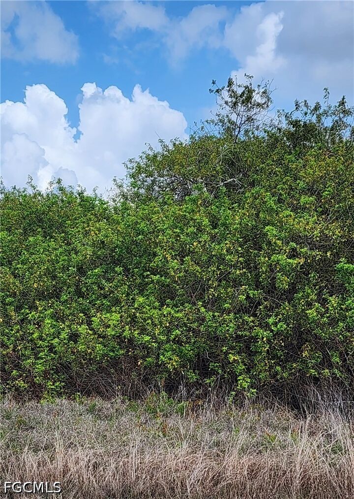 Property Photo: 357 Neighborly Road FL 33935