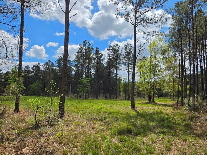 Property Photo:  R241398 Kelley  TX 77531 