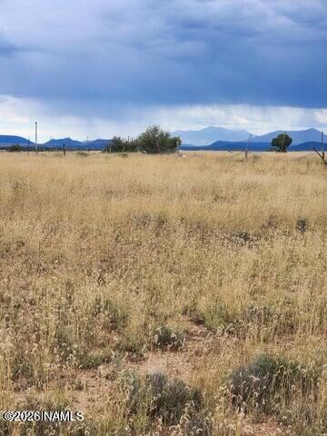 Property Photo:  2471 S Amherst Street  AZ 86046 