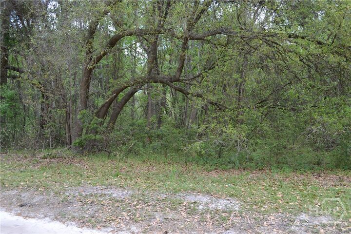 Property Photo:  0 S Hickory Street  GA 31302 