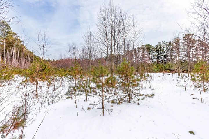 Property Photo:  3219 Nugent Road  MI 49635 