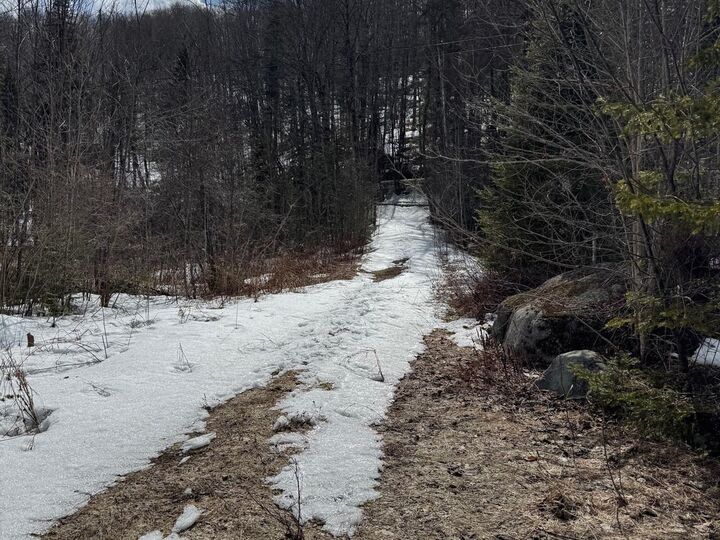 Property Photo: 1656 Williamstown Road VT 05675