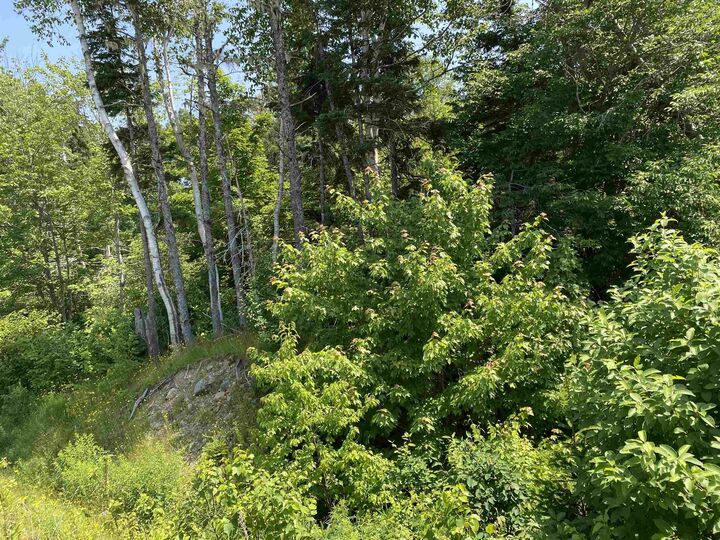 Property Photo:  0 Cabot Trail  NS B0C 1H0 