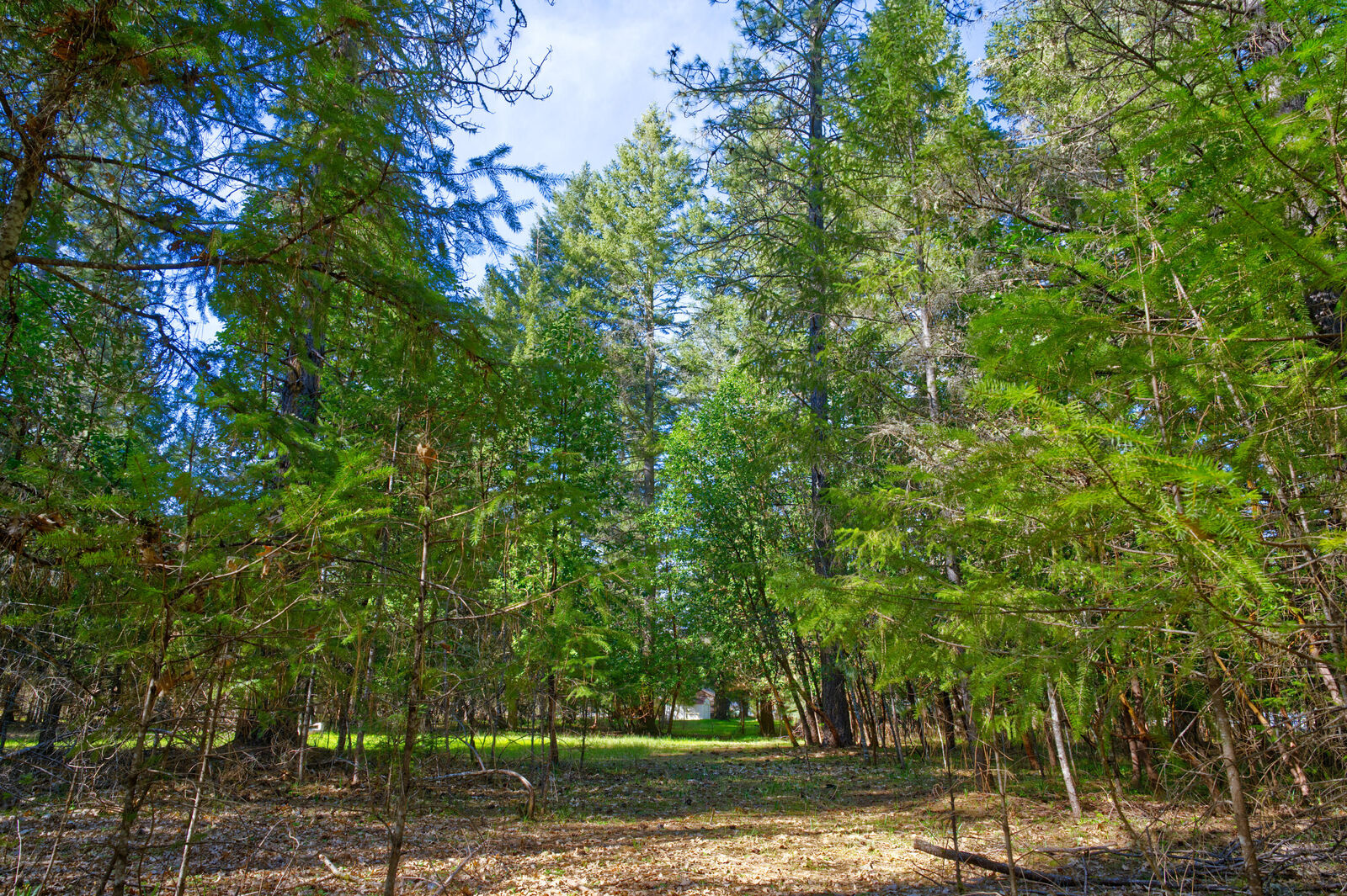 Property Photo:  389 Boyer Road  OR 97526 