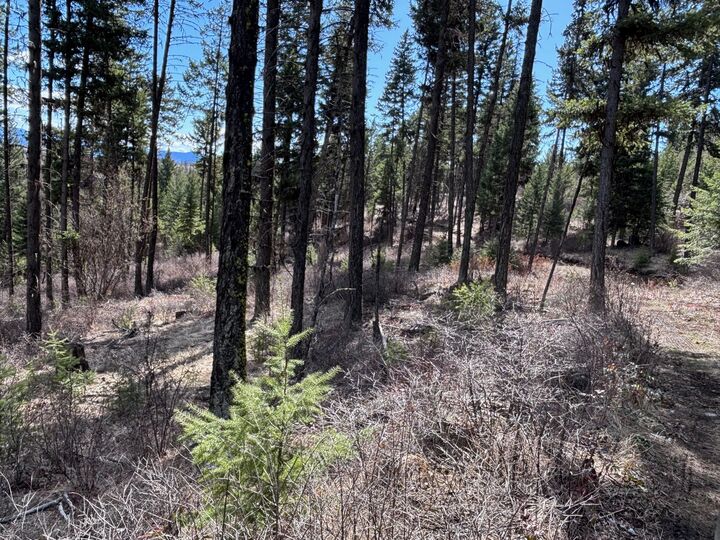Lot 4 Hulme Creek Road — photo 1