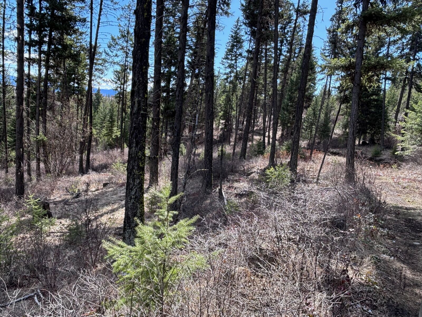 Property Photo: Lot 4 Hulme Creek Road BC V0H 1Y0